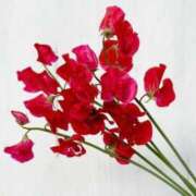 ヒメ日記 2025/04/08 00:34 投稿 とも 池袋おかあさん