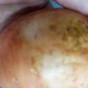 ヒメ日記 2025/04/08 06:04 投稿 とも 池袋おかあさん