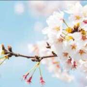 ヒメ日記 2025/04/17 09:04 投稿 とも 池袋おかあさん