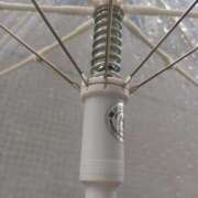 ヒメ日記 2025/04/27 01:54 投稿 とも 池袋おかあさん