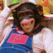 ヒメ日記 2025/04/29 11:54 投稿 とも 池袋おかあさん