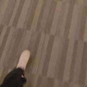 ヒメ日記 2025/05/25 01:04 投稿 とも 池袋おかあさん