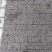 ヒメ日記 2025/05/29 16:54 投稿 とも 池袋おかあさん