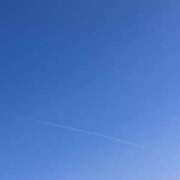 ヒメ日記 2025/06/02 07:14 投稿 とも 池袋おかあさん