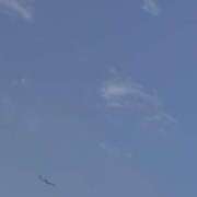 ヒメ日記 2025/06/08 08:24 投稿 とも 池袋おかあさん