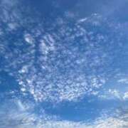 ヒメ日記 2025/06/09 05:44 投稿 とも 池袋おかあさん