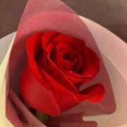 ヒメ日記 2025/06/13 07:14 投稿 とも 池袋おかあさん