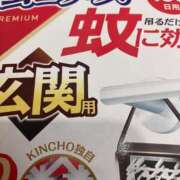 ヒメ日記 2025/06/14 19:54 投稿 とも 池袋おかあさん