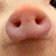 ヒメ日記 2025/06/16 14:44 投稿 とも 池袋おかあさん