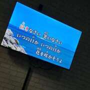 ヒメ日記 2025/06/23 07:08 投稿 とも 池袋おかあさん