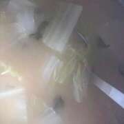 ヒメ日記 2025/06/25 09:05 投稿 とも 池袋おかあさん