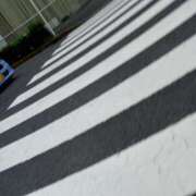 ヒメ日記 2025/06/29 07:14 投稿 とも 池袋おかあさん