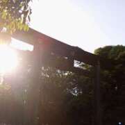 ヒメ日記 2025/07/05 06:44 投稿 とも 池袋おかあさん