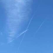 ヒメ日記 2025/07/07 09:46 投稿 とも 池袋おかあさん