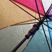 ヒメ日記 2025/07/18 07:54 投稿 とも 池袋おかあさん