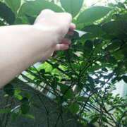 ヒメ日記 2025/07/20 06:04 投稿 とも 池袋おかあさん