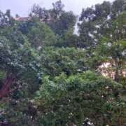 ヒメ日記 2025/07/29 12:24 投稿 とも 池袋おかあさん