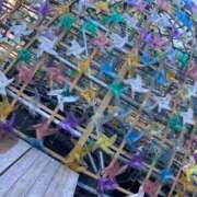 ヒメ日記 2025/08/23 22:43 投稿 とも 池袋おかあさん