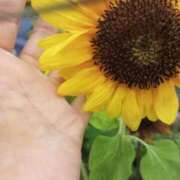 ヒメ日記 2025/08/24 22:36 投稿 とも 池袋おかあさん