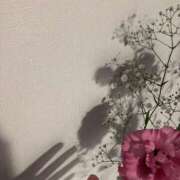 ヒメ日記 2025/08/25 14:04 投稿 とも 池袋おかあさん