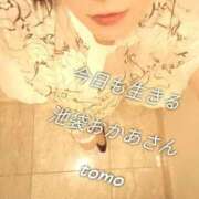 ヒメ日記 2025/09/05 12:05 投稿 とも 池袋おかあさん