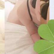 ヒメ日記 2025/09/19 08:33 投稿 とも 池袋おかあさん