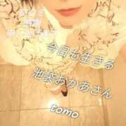 ヒメ日記 2025/09/25 16:44 投稿 とも 池袋おかあさん