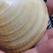 ヒメ日記 2025/10/07 16:54 投稿 とも 池袋おかあさん