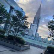 ヒメ日記 2025/11/01 07:04 投稿 とも 池袋おかあさん