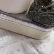 ヒメ日記 2025/11/07 09:14 投稿 とも 池袋おかあさん