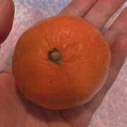 ヒメ日記 2025/12/13 08:51 投稿 とも 池袋おかあさん