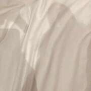 ヒメ日記 2025/12/26 05:24 投稿 とも 池袋おかあさん