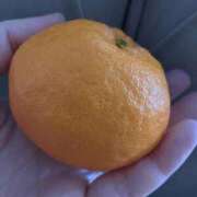 ヒメ日記 2026/02/02 12:24 投稿 とも 池袋おかあさん