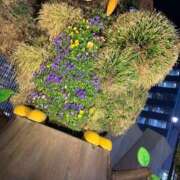 ヒメ日記 2026/02/24 19:44 投稿 とも 池袋おかあさん