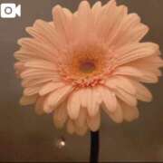 ヒメ日記 2026/03/11 14:13 投稿 とも 池袋おかあさん