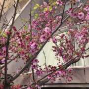 ヒメ日記 2026/03/27 19:14 投稿 とも 池袋おかあさん