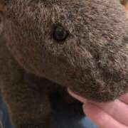 ヒメ日記 2026/04/05 09:24 投稿 とも 池袋おかあさん