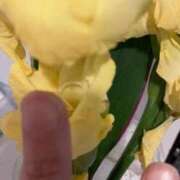 ヒメ日記 2026/04/12 15:54 投稿 とも 池袋おかあさん