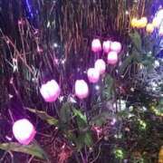 さな おはよう❣️ Felice(フェリス)