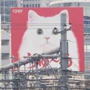 ヒメ日記 2026/03/27 12:30 投稿 さな Felice(フェリス)