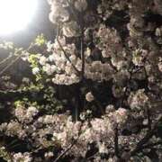 ヒメ日記 2026/04/21 22:44 投稿 さな Felice(フェリス)