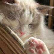 ヒメ日記 2025/05/14 16:00 投稿 ほたる 手こき＆オナクラ 大阪はまちゃん