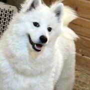 ヒメ日記 2026/01/06 16:20 投稿 ほたる 手こき＆オナクラ 大阪はまちゃん