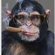 ヒメ日記 2024/12/08 18:35 投稿 上下　ことね ギン妻パラダイス 谷九店