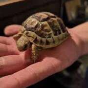 ヒメ日記 2024/12/26 21:19 投稿 上下　ことね ギン妻パラダイス 谷九店