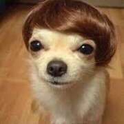 ヒメ日記 2024/12/30 11:33 投稿 上下　ことね ギン妻パラダイス 谷九店