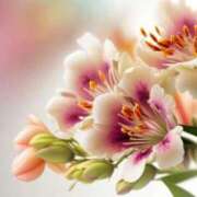 ヒメ日記 2025/01/15 12:50 投稿 上下　ことね ギン妻パラダイス 谷九店