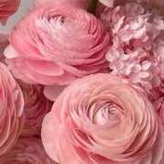 ヒメ日記 2025/02/17 13:59 投稿 上下　ことね ギン妻パラダイス 谷九店