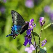 ヒメ日記 2025/02/22 17:10 投稿 上下　ことね ギン妻パラダイス 谷九店