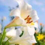 ヒメ日記 2025/02/28 13:01 投稿 上下　ことね ギン妻パラダイス 谷九店